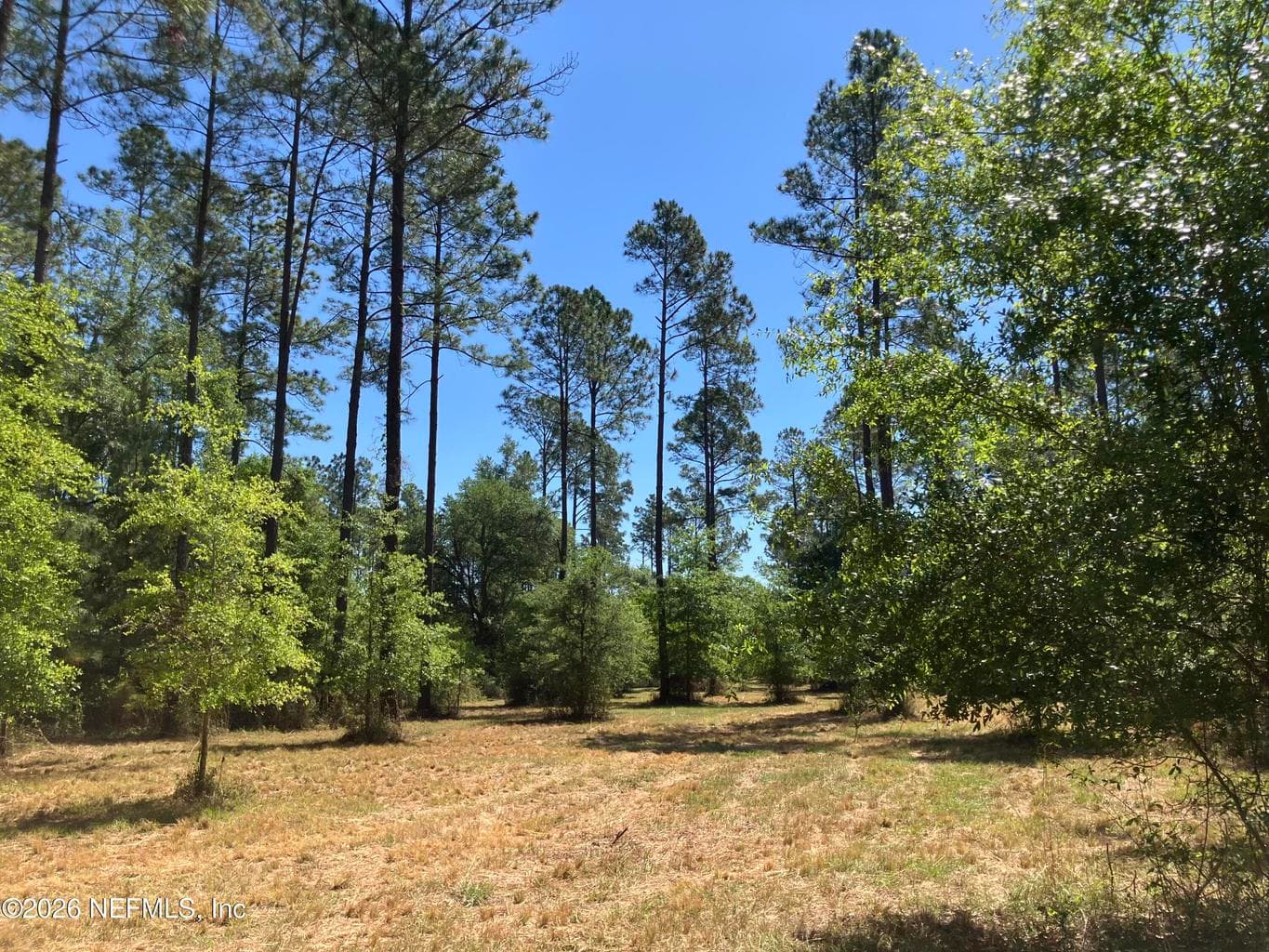 0 PROSPECT LANDING Road, Hilliard, FL 32046, Hilliard, FL - photo 1