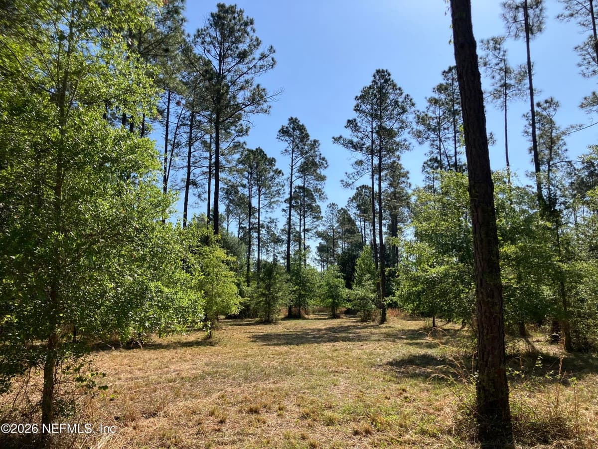 0 PROSPECT LANDING Road, Hilliard, FL 32046, Hilliard, FL - photo 2