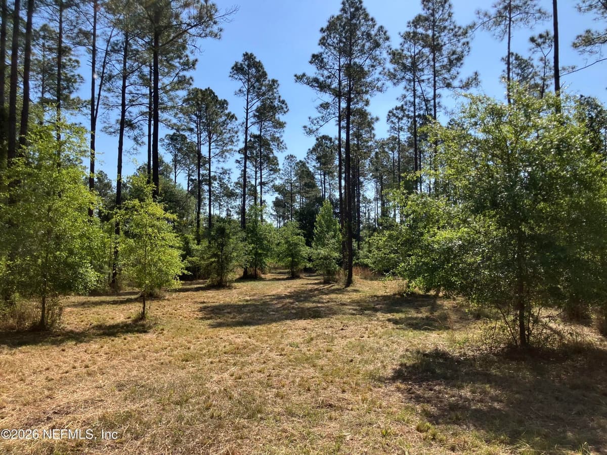 0 PROSPECT LANDING Road, Hilliard, FL 32046, Hilliard, FL - photo 3