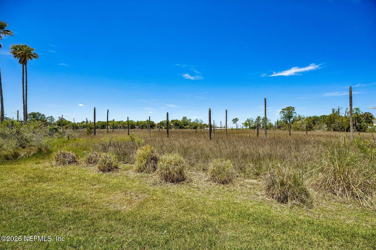 165 INDIAN COVE Lane, Ponte Vedra Beach, FL 32082, Ponte Vedra Beach, FL - photo 2
