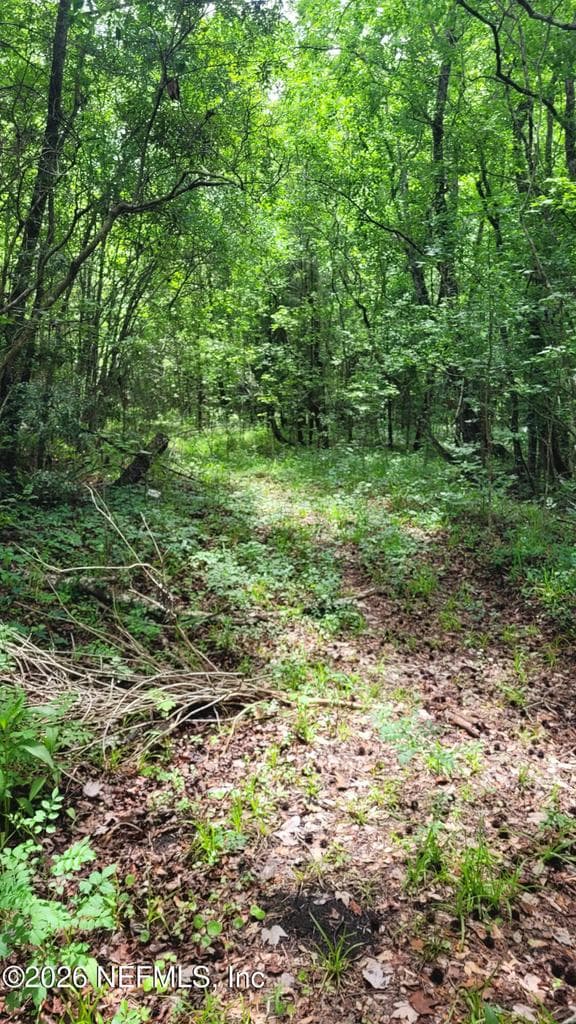 0 HUTCHINSON Road, Jacksonville, FL 32220, Jacksonville, FL - photo 2